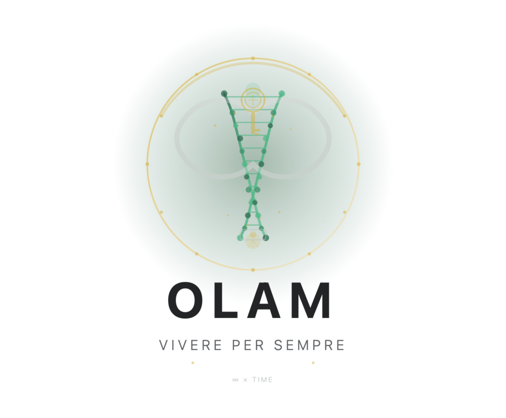 OLAM pdf #1